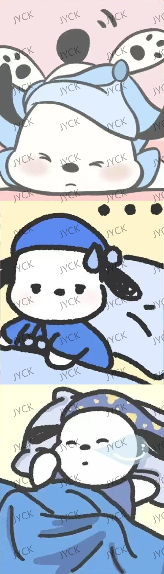 8097